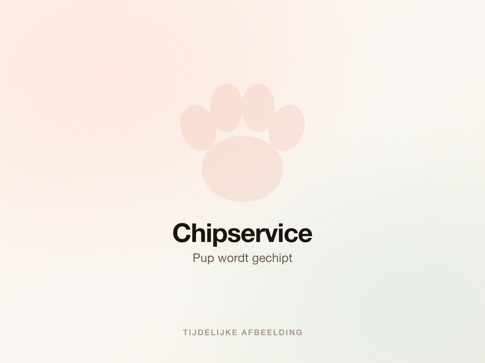 Chipservice — Pup wordt gechipt