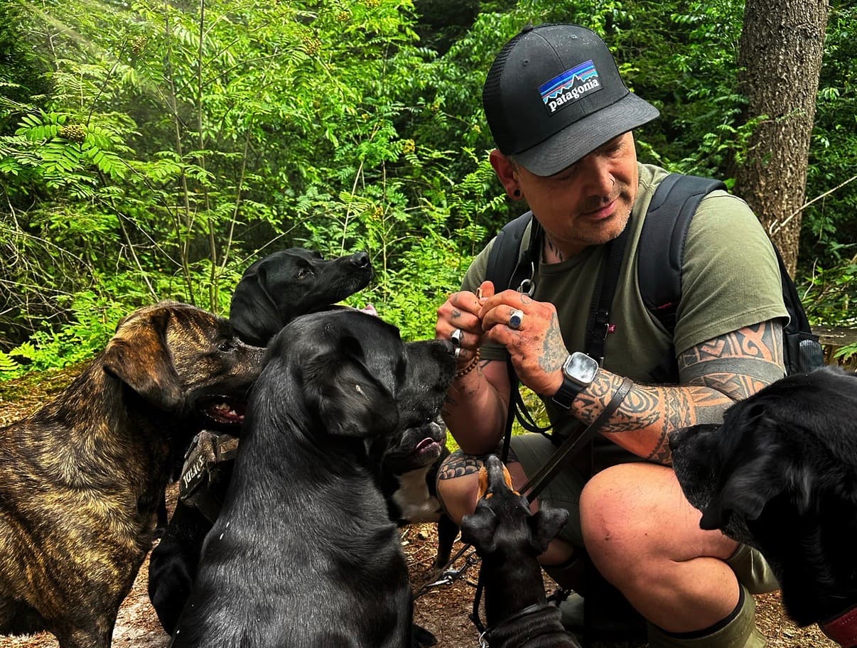 In het bos met de hele groep honden